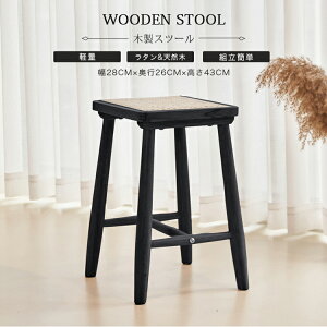 Xc[ VR ubN ^`FA CX Pi ٕ҂ 43cm ^Xc[ Ebh Vv IV _CjOXc[ ؐ | CX ^  hbT[p  y ِ