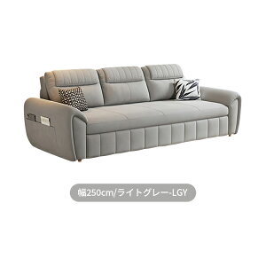 \t@xbh \t@ \t@[ RpNg Lk [   _炩 sofa 2P l| Ol [  220cm 250cm Snǂ qΉ 2way e xe ؐt[ 