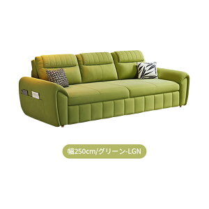 \t@xbh \t@ \t@[ RpNg Lk [   _炩 sofa 2P l| Ol [  220cm 250cm Snǂ qΉ 2way e xe ؐt[ 