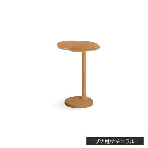 TChe[u iCge[u 42cm VR [e[u VR zCg 킢 IV ؍ i`F 48cm JtFe[u xbhTChe[u \t@e[u k 