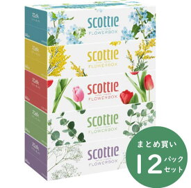 スコッティフラワーティシュ 250組×5箱×12パック