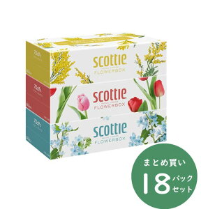 XRbeBt[eBV 250g×3×18pbN