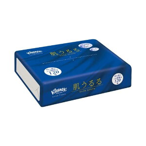 NlbNX eBV[ [V  \tgpbN 120g× 24pbN