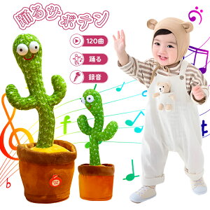 y5%OFFՌSALEIԎoIzxT{e x ̂ T{e  _XT{e hT{e dq ʔ 킢 ʂ ΂ FB v[g q p̉̕t  ΂ 