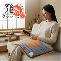 楽天市場】電気 敷き マットの通販
