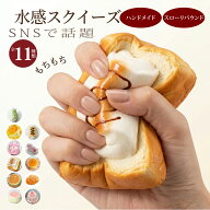 【楽天スーパーセール半額以上→51％OFF】スクイーズ パン ケーキ キット 肉球 セット スクイーズキット …