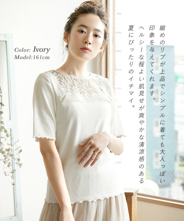 注目の ノースリーブ 袖レースリブトップス 半袖 リブ メロー フリル トップス カットソー Tシャツ シンプル 白 夏