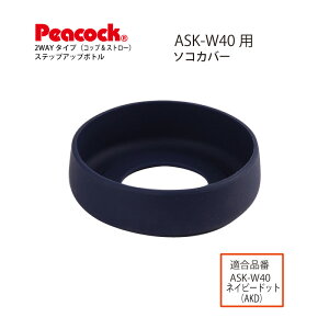 yiz XebvAbv{g2WAY^CvXeX{g ASK-W40p\RJo[ASK-SK (s[RbN@rH)[։