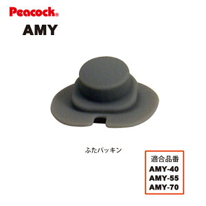 y[։zyizXeX{g AMY^b`}Op ӂpbL AMY-FTP is[RbN@rHƁj