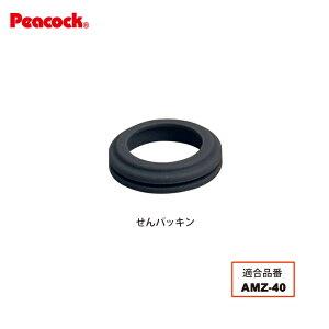 y[։zyizXeX{g }O^Cv AMZ-40ppbL AMZ-40-SNP is[RbN@rHƁj