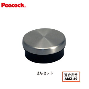 yizXeX{g }O^Cv AMZ-40pZbgiEpbLj AMZ-40-SNS is[RbN@rHƁj