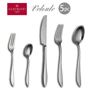 カトラリーセット ナイフ フォーク スプーン 1人用 5本組 ヴェルーテ ディナーセット 箱入 LUCKY WOOD ラッキーウッド 18-10ステンレス 日本製 燕三条 食洗機OK