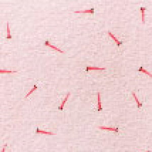  tFCX^I B^I5 J[_J pƂči₷g₷ tFCX^I5g 34cm 80cm vg u[ sN CG[ @H {