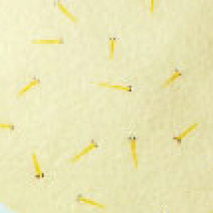  tFCX^I B^I5 J[_J pƂči₷g₷ tFCX^I5g 34cm 80cm vg u[ sN CG[ @H {