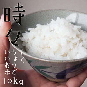 ŏI̔  2kg`   XIWi 茧Y ܂uh  Iׂd 5kg 10kg 20kg IWi  10L 20L  G߂̃uhāyāz