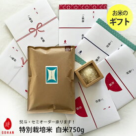 米 ギフト 送料無料 挨拶 贈り物【絆GOHAN ギフト 750g】御礼 御祝 挨拶 プレゼント プチギフト 祝い お礼