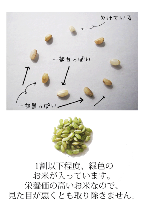 楽天市場】玄米食 調整済 6年産 農家の食べているおいしい玄米