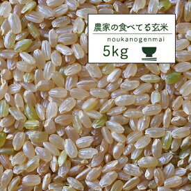 米 5kg 玄米食 調整済 3年産 農家の食べているおいしい玄米5kg オリジナル 5キロ【米5kg】