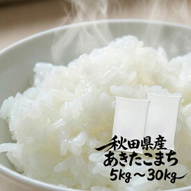 ＜出店21周年記念セール＞ 米 10kg 秋田県産 あきたこまち 5kg 10kg 20kg 30kg 白米 令和7年産 送料無料 単一原料米 産地直送 お米 10キロ 秋田こまち 精米 ごはん おにぎり お弁当 家庭用 まとめ買い 常備米 毎日のごはん 国産米 【米】2682 5322 10530 15743