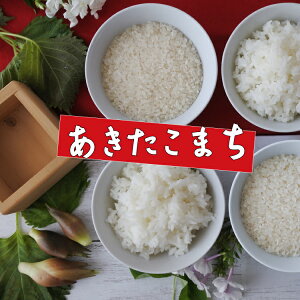 V  10kg  7NY HcY ܂  5kg`iIׂdʁj5kg 10kg 20kg 30kg   Hc܂yāz3248^6454^12794^19138