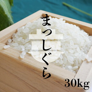 V  30kg XY 7NY ܂ 30kg i5kg×6j /ĕ/lC/ y30Lz18836
