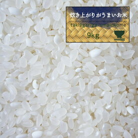 米 10kg お米 精米 もち米入 炊き上がりがうまいお米 白米9kg オリジナル 噂のTKU モチさぱ 国産【白米9kg】