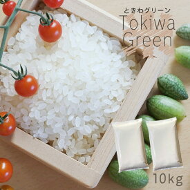 ＜最短出荷＞米 10kg 6年産 秋田県産 ときわGreen 白米10kg（5kg×2袋）小分け/人気/安い/精米/備蓄米/業務【米10キロ】5289