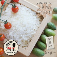 ＼新米10kg 3,810円／ 8年産 新米 白米 ときわGreen 精米 5kg 10kg 20kg 30kg 選べる容量 ふっくら おい…