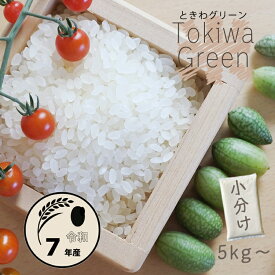 令和7年産 秋田県産 100% 米 5kg 10kg 20kg 30kg ときわGreen 白米（選べる重量）小分け/人気/安い/精米/業務/備蓄米ではない【米】2295／4548／8981／13419