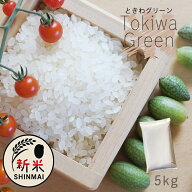 ＜クーポン利用で !! 3,020円 !!＞米5キロ 令和7年産 白米 秋田県産 ときわGreen 精米5kg ふっくら おい…