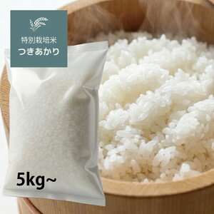 �ߘa7�N�Y �X���Y �������� ���� 5kg 10kg 20kg 30kg ���ʍ͔|�� ���Y�� ���� �� 5�L�� 10�L�� 20�L�� 30�L�� ���� ���� �Â� �S�� �H���ǍD �ƒ�p �Ɩ��p �l�C�� ��_�� ���S���S ���������y��