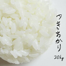 米 20kg 青森県産 5年産 特別栽培米 つきあかり 白米20kg（5kg×4） 【米20kg】