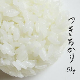 米 5kg 青森県産 5年産 特別栽培米 つきあかり 白米5kg 【米5kg】