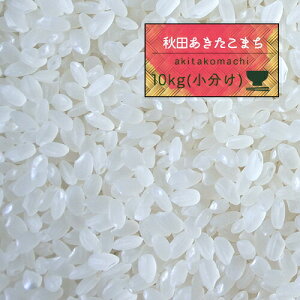 10kg  6NY HcY ܂ 10kgi5kg×2j  Hc܂y10Lz6530
