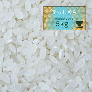 V  5kg XY 7NY ܂ 5kg lC/y5Lz3193