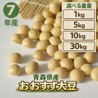 令和7年産 大豆 青森県産 1kg 5kg 10kg 30kg おおすず大豆 特選 大粒国産 送料無料 選べるサイズ 業務用 …