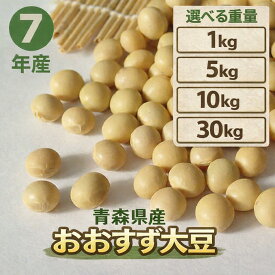 令和7年産 大豆 青森県産 1kg 5kg 10kg 30kg おおすず大豆 特選 大粒国産 送料無料 選べるサイズ 業務用 家庭用 お試し 乾燥豆 豆類 煮豆 味噌 豆腐 納豆 製菓材料【大豆】406 1528 2887 8028