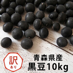 2NY (嗱) 10gi5kg×2j    lC 󂠂  哤 Y y10Lz