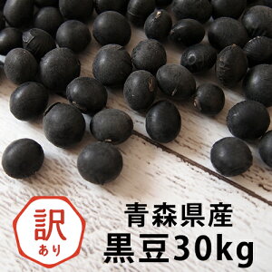 2NY (嗱) 30kg   lC 󂠂 Ɩp  哤 Yy30Lz