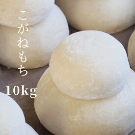 米 もち米 餅 糯米 5年産 秋田県産 こがねもち 白米10kg（5kg×2）【もち米10kg】