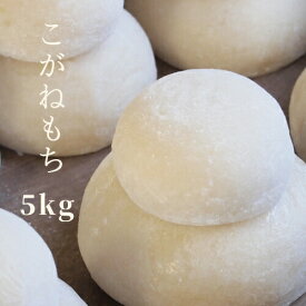 米 もち米 餅 糯米 5年産 秋田県産 こがねもち 白米5kg 送料無料【もち米5kg】