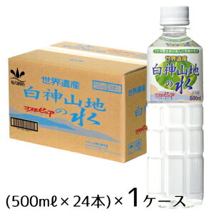 _Rn̐500~bg×24{1P[XyEzsz