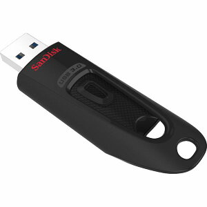 y1524ԌN[|zzzSANDISK TfBXNCOpbP[Wi XChUSB 64GB SDCZ48064GU46(2395448)