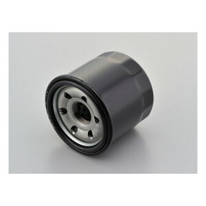 y2024ԌN[|zzzDAYTONA fCgiICtB^[ J[gbW D12189(2010012)s