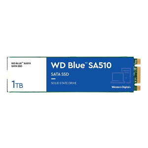 y524ԌN[|zzzWestern Digital EGX^fW^SSD PCI-Expressڑ M.2 SATA 1TB WDS100T3B0B(2559695)s 