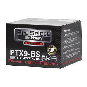 y3024ԌN[|zzzProSelectivZNgjPTX9-BS PSB007(2307516)