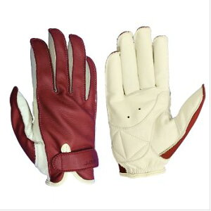 y3024ԌN[|zzzWFCA[s[ JRP JRPXR BPS-Y R{[VO[u C/AC{[ LL(2364369)s 