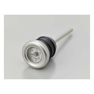 y2024ԌN[|zzzDAYTONA fCgifBbvXeBbNtv HDnp N[bL/zCgpl D62487(2113396)s 