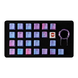 y524ԌN[|zzzTai-Hao ^CnIo[Q[~OL[Lbv Mark II 23L[ Pink & Blue Camo th-rubber-keycaps-pink-blue-camo-23(2553007)s 
