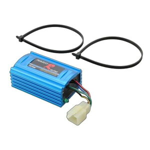 y1524ԌN[|zzzDAYTONA fCgiCDI jbg vOXE[VOCDI CuDio-ZXnp D36244(2105033)s 